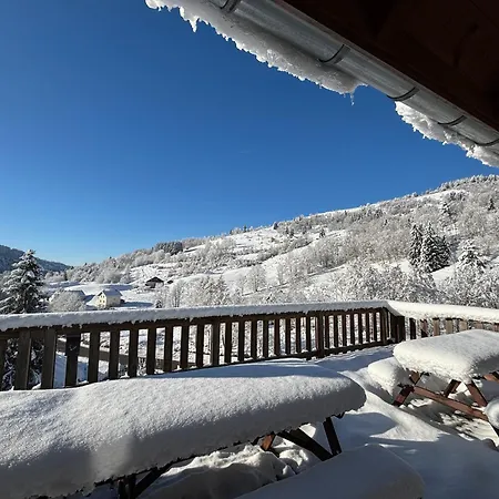 Grand Familial - Vue Montagne, La Bresse