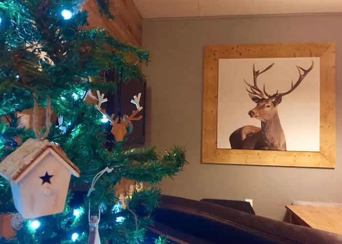 Grand Familial - Vue Montagne, * La Bresse