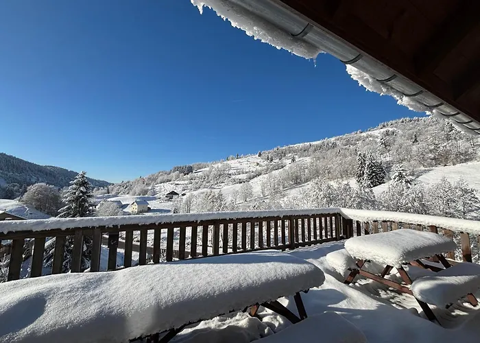 Grand Familial - Vue Montagne, La Bresse